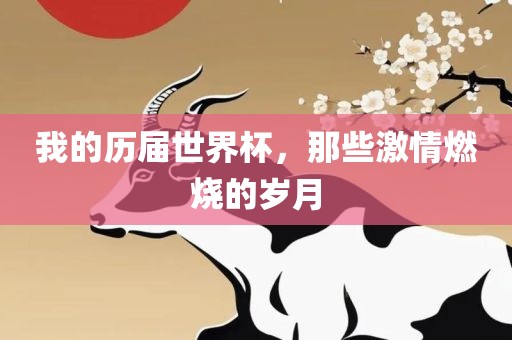 我的历届世界杯，那些激情燃烧的岁月