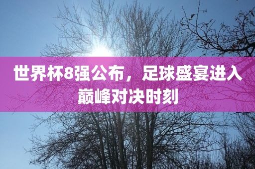 世界眉山市正发家政服务有限公司杯8强公布，足球盛宴进入巅峰对决时刻