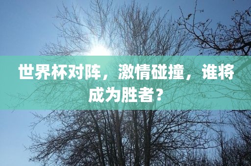 世界杯对阵，激情碰撞，谁将成为胜者？眉山市正发家政服务有限公司