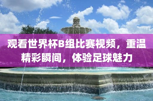 观看世界杯B组比赛视频，重温精彩瞬间，体验足球魅力
