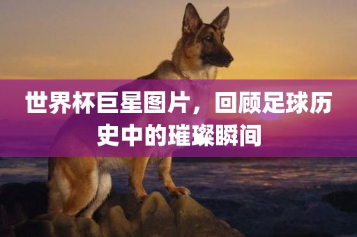 世界杯巨星图片，回顾足球历史中的璀璨瞬间眉山市正发家政服务有限公司