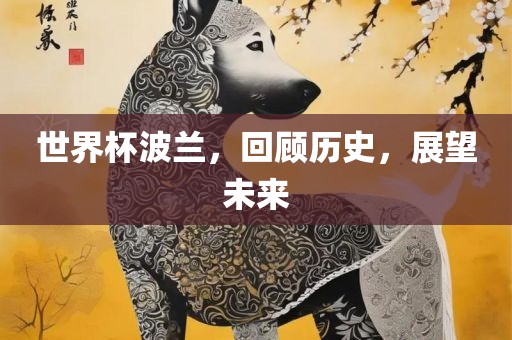 世界杯波兰，回顾历史，展望未来眉山市正发家政服务有限公司