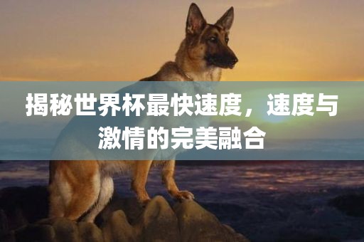 揭秘世界杯最快速度，速度与激情的完美融合眉山市正发家政服务有限公司
