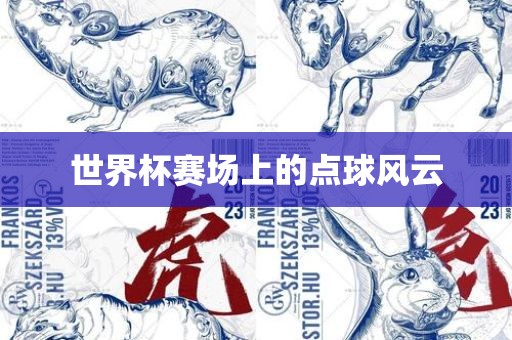 世界杯眉山市正发家政服务有限公司赛场上的点球风云