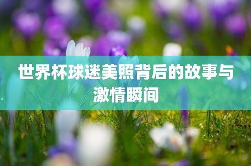 世界杯球迷美照眉山市正发家政服务有限公司背后的故事与激情瞬间