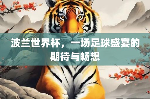 波兰世界杯，一场足球盛宴的期待与畅想