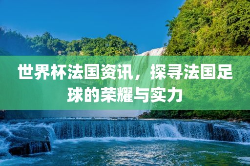 世眉山市正发家政服务有限公司界杯法国资讯，探寻法国足球的荣耀与实力