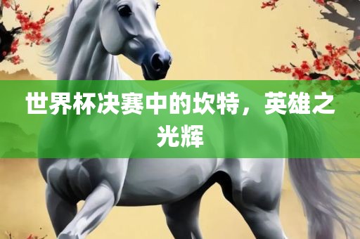 世界杯决赛中的坎特，英雄之光辉眉山市正发家政服务有限公司