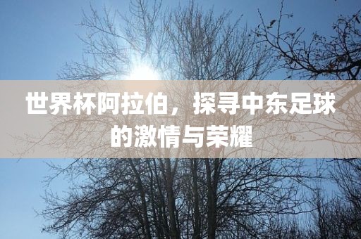 世界杯阿拉伯，探寻中东足球的激情与荣耀眉山市正发家政服务有限公司
