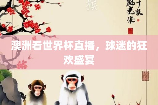 澳洲看世界杯直眉山市正发家政服务有限公司播，球迷的狂欢盛宴