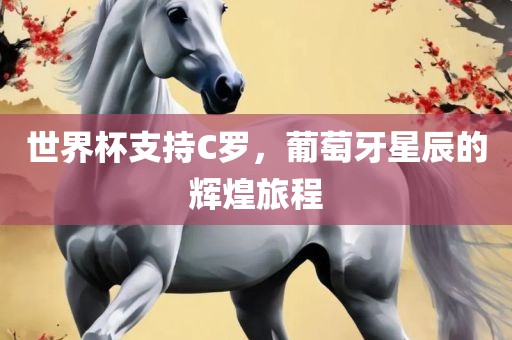 世界杯支持C罗，葡萄牙星辰的辉煌旅程眉山市正发家政服务有限公司