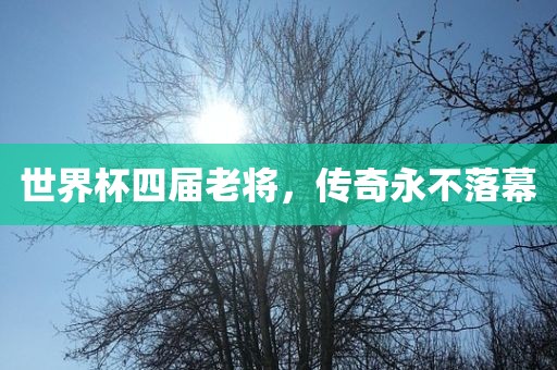世界杯四届老将，传奇永不落幕