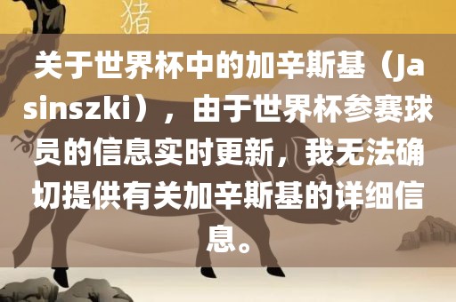 关于世界杯中的加辛斯基（Jasinszki），由于世界杯参赛球员的信息实时更新，我无法确切提供有关加辛斯基的详细信息。眉山市正发家政服务有限公司