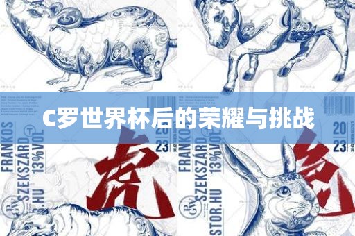 C罗世界杯后的荣耀与挑战眉山市正发家政服务有限公司