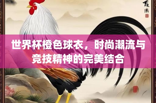 世界眉山市正发家政服务有限公司杯橙色球衣，时尚潮流与竞技精神的完美结合