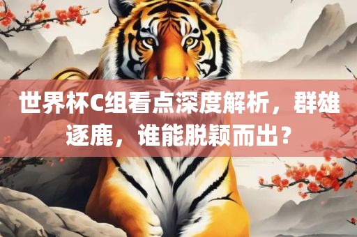 世界杯C组看点深度解析，群雄逐鹿，谁能脱颖而出？眉山市正发家政服务有限公司
