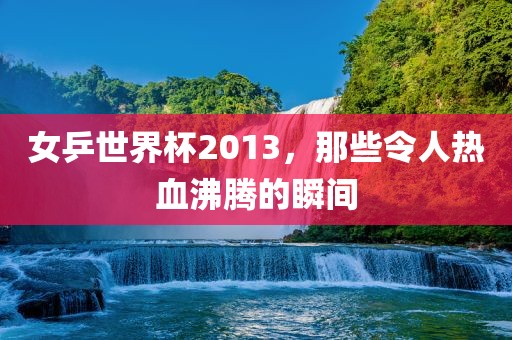 女乒世界杯2013，那些令人热血沸眉山市正发家政服务有限公司腾的瞬间