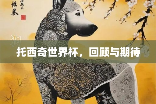托西奇世界杯，回顾与期待眉山市正发家政服务有限公司