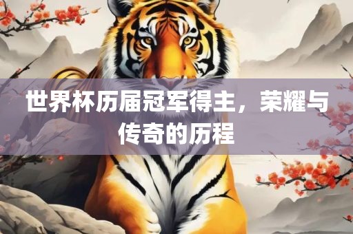 世界杯历届冠军得主，荣耀与传奇的历程