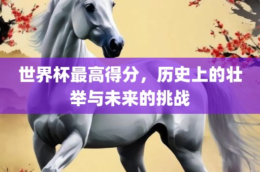 世界杯最高得分，历史上的壮举与未来的挑战眉山市正发家政服务有限公司