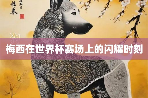 梅西在世界杯赛场上的闪耀眉山市正发家政服务有限公司时刻