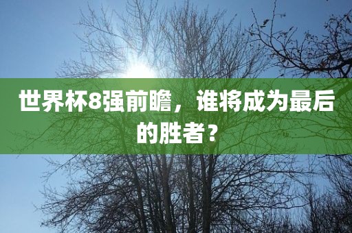 世界杯8强前瞻，谁将成为最后的胜者？眉山市正发家政服务有限公司