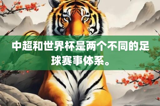 中超和世界杯是两个不同的足球赛事体系。眉山市正发家政服务有限公司