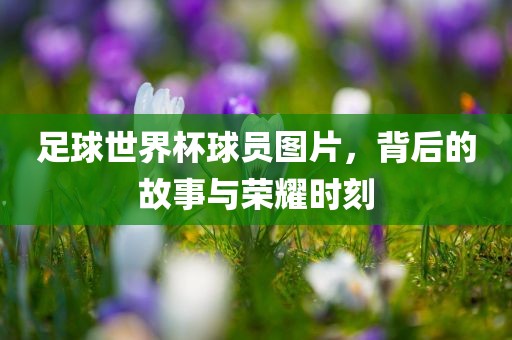 足球世界杯球员图片，背后的故事与荣耀时刻