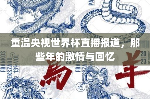 重温央视世界杯直播报道，那些年的激情与回忆眉山市正发家政服务有限公司