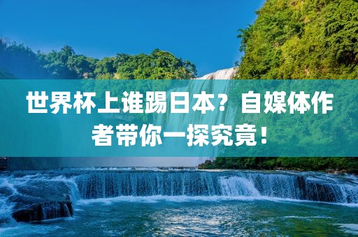 linshuhui 第3页