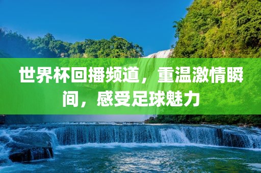 世界杯回播频道，重温激情瞬间，感受足球魅力