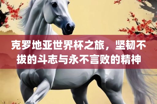 克罗地亚世界杯之旅，坚韧不拔的斗志与永不言败的精神眉山市正发家政服务有限公司