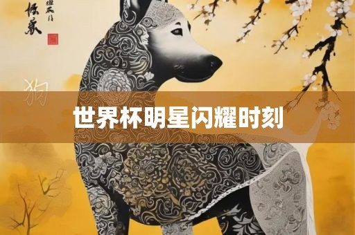 世界杯明星闪耀时刻眉山市正发家政服务有限公司