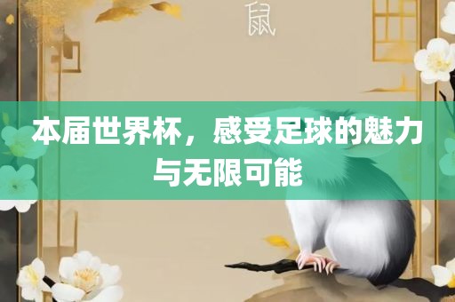 本届世界杯，感受足球的魅力与无限可能