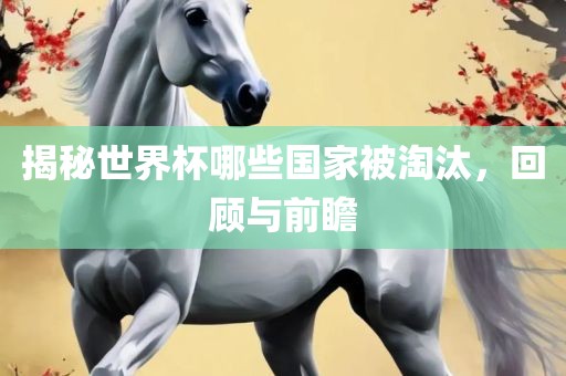揭秘世界杯哪些国家被淘汰，回顾与前瞻