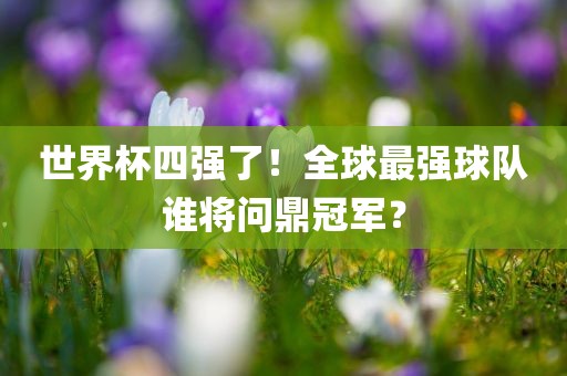 世界杯四强了！全球最强球队谁将问鼎冠军？
