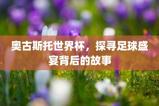 奥古斯托世界杯，探寻足眉山市正发家政服务有限公司球盛宴背后的故事