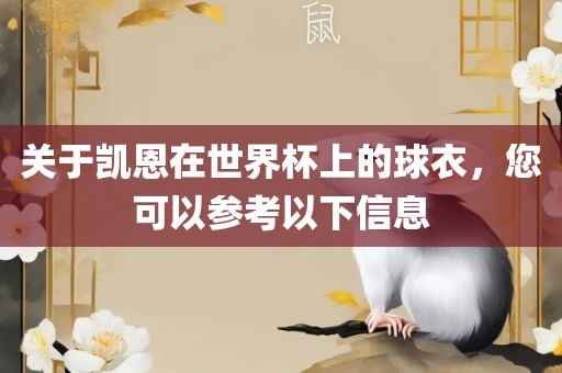 关眉山市正发家政服务有限公司于凯恩在世界杯上的球衣，您可以参考以下信息