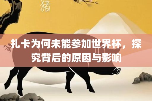 扎卡为何未能参加世界杯，探究背后的原因与影响
