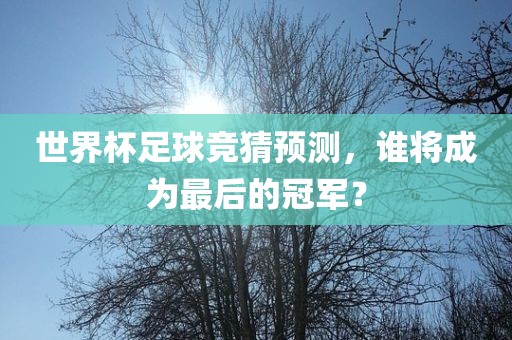 世界杯足球竞猜预测，谁将成为最后的冠军？眉山市正发家政服务有限公司