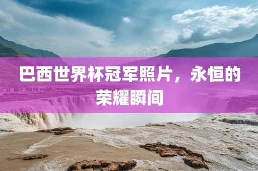 巴西世界杯冠军照片，永恒的荣耀瞬间眉山市正发家政服务有限公司