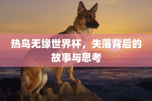 热鸟无缘世界杯，失落背后的故事与思考眉山市正发家政服务有限公司