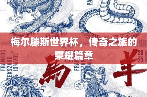 梅尔滕斯世界杯，传奇之旅的荣耀篇章眉山市正发家政服务有限公司