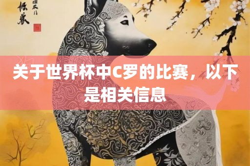 关于世界杯中C罗的比赛，以下是相关信息眉山市正发家政服务有限公司