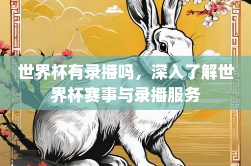 世界杯有录播吗，深入了解世界杯赛事与录播服务