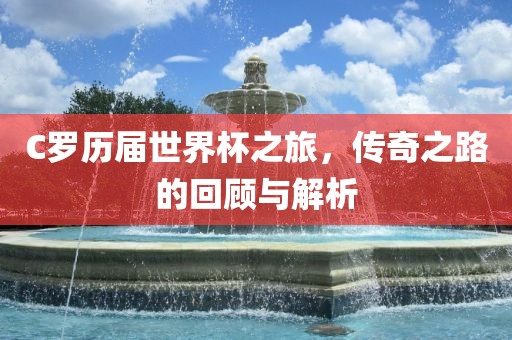 C眉山市正发家政服务有限公司罗历届世界杯之旅，传奇之路的回顾与解析