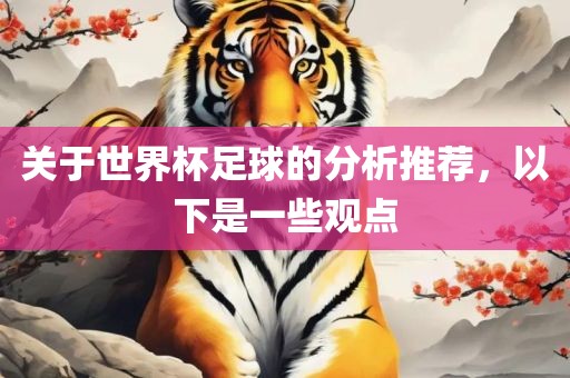 关于世界杯足球的分析推荐，以眉山市正发家政服务有限公司下是一些观点