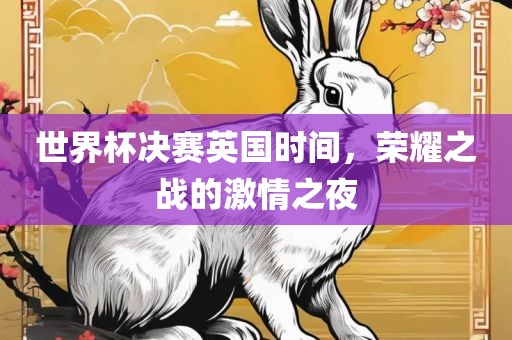 世界杯决赛英国时间，荣耀之战的激情之夜眉山市正发家政服务有限公司