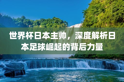 世界杯日本主帅，深度解析日本足球崛起的背后力量眉山市正发家政服务有限公司