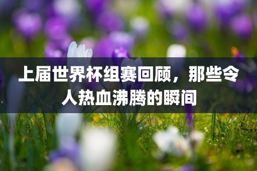 上届世界杯组赛回顾，那些令人热血沸腾的瞬间